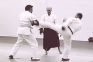 Seniors Karate Sparring