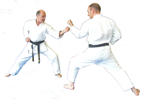 Steve & Peter Karate Training